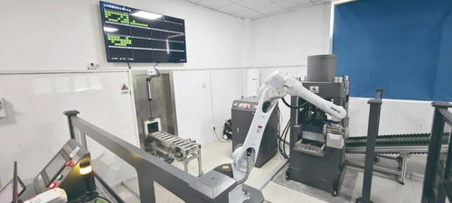 向綠而生 湖北交投集團積極培育發(fā)展新質(zhì)生產(chǎn)力